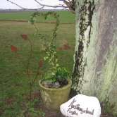 Blandad Trädgårdskonst